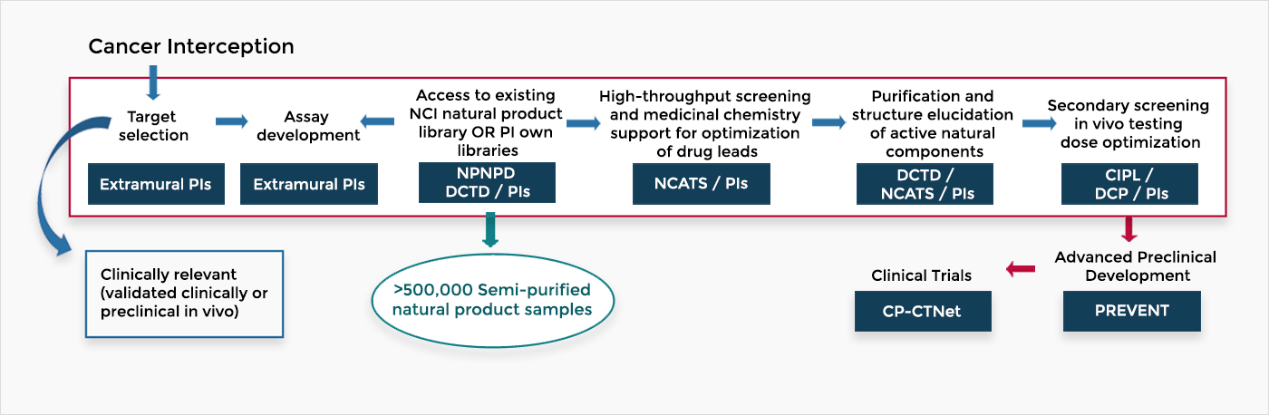 Flow chart of the DDNP-CIP