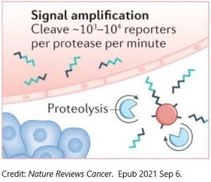 An illustration displaying signal amplification.