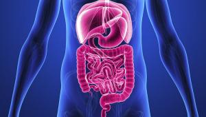 About Gastrointestinal and Other Cancers
