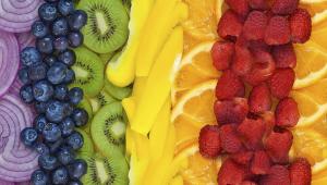 About Nutritional Sciences