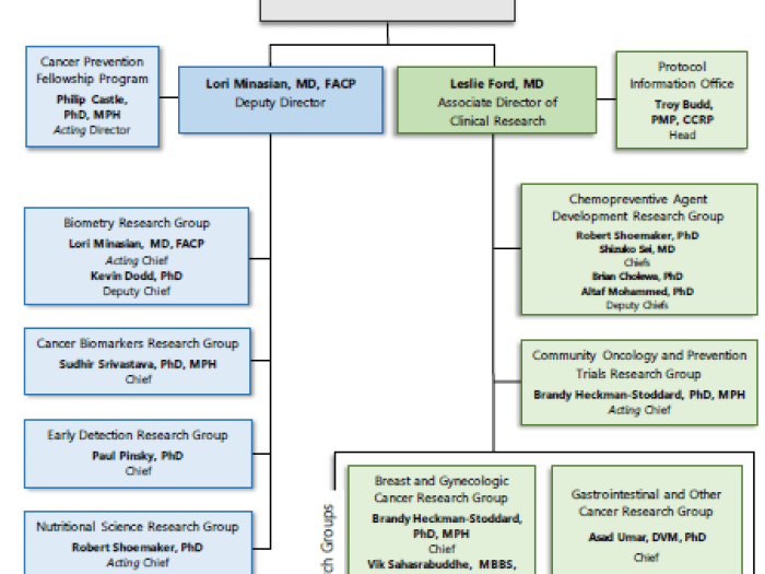 DCP Leadership Chart